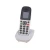 Import F261 CDMA 800 Fixed Cordless Telephone from China