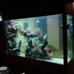 Factory 5 in 1 Curved glass aquarium fish tank, small fish tank mini fish tank