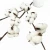 Import Factory Direct Sale 20 head long branch Artificial dried cotton flowers from China