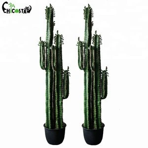 Factory directly  ornamental bonsai plants decorative artificial cactus plant