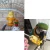 Import Factory Directly Stainless Parrot Bird Rabbit Hutch Cage Fruit Vegetable Holder Skewer Foraging Toy Animal Treating Tool from China