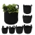 Import Factory  High Quality Felt Grow Bag 20x20cm Black Color Garden Tote Bag from China