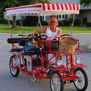 Used surrey bike on sale