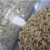 Import Factory Natural Germ Oatmeal Rice Vacuum Packaging Oat Rice from China
