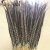 Import Factory supply excellent quality feather Lady amherst pheasant tail feathers event & party supplies from China