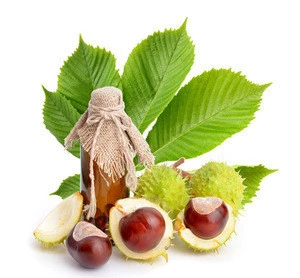 Factory supply high quality horse chestnut fruit extract