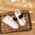 Import Fashion Autumn Childrens LED Lamp Light Shoes Girls Luminous Sneakers Kids soft sole Casual Sport Shoes Baby Girl Sneakers from China