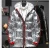 Import Fashion shiny sliver winter men down jacket bubble puffer jacket from China