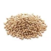 feed Barley for Animal Feed and Human Consumption/ Hulled   Moisture: < 12%