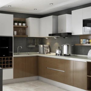 French modern custom high gloss kitchen cabinet