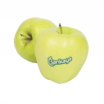 Fresh Apple New Crop Mature Golden