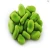 Import fresh broad bean from manufacturer from China