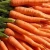 Import Fresh Carrote for sale from Egypt