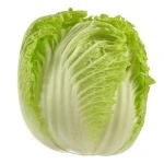 Fresh Celery Cabbage / Fresh Cabage