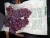 Import fresh grapes from Egypt