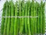 Fresh green asparagus