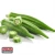 Import Fresh Green Okra Manufacturer/ Supplier/ Exporter from Pakistan