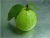 Import FRESH GUAVA - EXPORTED QUANTITY - GOOD PRICE IN VIET NAM FOR SALE from Vietnam