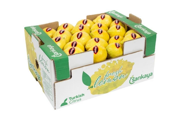 Fresh Lemon Supplier Wholesaler Best Citrus