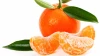Fresh Mandarin From Turkey
