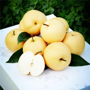 Fresh Pear Chinese Nanshui Pear Crispy Pear