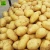 Import Fresh sweet potatoes high quality cheap potatoes price per ton for sale fresh potato from China