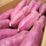 Fresh Sweet Potatoes