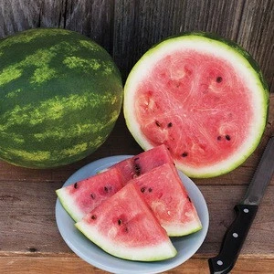 Fresh Well Cleaned Water Melon