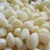 Import Freshcrop natural Chinese peeled garlic from China