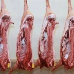 Frozen Halal Goat Meat, Lamb Meat, Sheep Meat, Beef