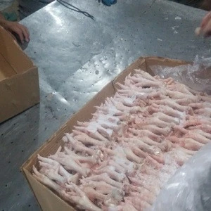 Frozen Quality  Frozen Brasil Halal chicken Meat / Fresh / Frozen / Processed Chicken Feet / Paws / Claws Cheap Price