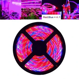 Full Spectrum SMD 2835 5050 DC12/24V  UV Led Strip Grow Light
