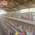 Import Galvanized welded wire animal cages hot sale layer battery chicken cage for egg poultry farming from China