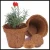 Import Garden Planter Liners/Decorative coco liner planter for basket from Vietnam