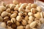 Ginkgo Nuts