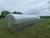 Import Golytunnel Hobby Greenhouse FOR Agriculture , garden buildings from South Africa