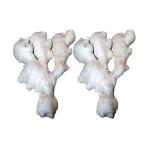 Good quality unspoiled plump clean yellow color chinese fresh ginger