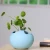 Import Green Succulent Plant Pot Egg Design Ceramic Flower Pot Planter Desktop Ornaments Home Decor Garden Pot from China