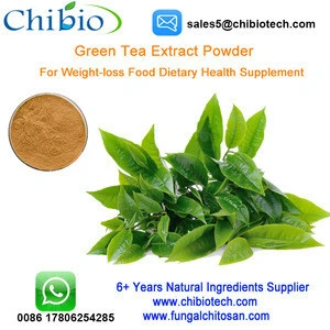 Green Tea Extract Powder Natural Caffeine 98% Organic Green Tea Extract for Weight Suppplement