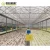 Import GREENDAY Agricultural/commercial Multi-span Polycarbonate Greenhouse from China