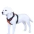 Import Guide Working K9 Dog harness with custom logo , Pet Control Harness for Dog from China