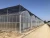 Import Gutter Connected Multi-Span Poly Greenhouse for Grape production from China