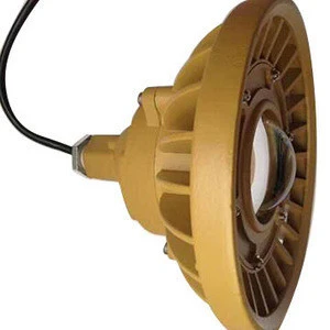 Hanging aluminum die casting housing for explosion-proof light Customized LED explosion-proof light