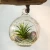 Import Hanging Glass Vase,Flower Vase Planter Terrarium Container Vases Pot Wedding Decor from China