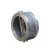 Import High Grade Cast Steel Butterfly 2 Inch Spring Check Valve from China