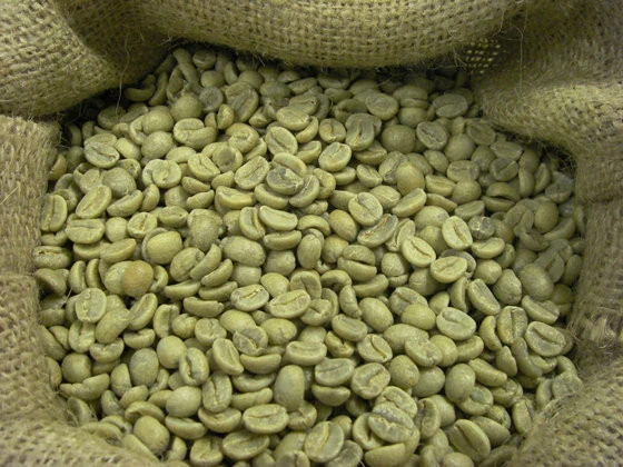 High Quality Gayo Arabica G-1 Green Coffee Bean