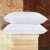 Import High Quality Goose Down Feather Pillow Feather Filled Pillow 70% Goose Down 30% Feather Pillow from China
