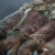 Import High  Quality of Frozen Cuttlefish for Consume from Indonesia