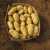 Import High-quality Potatoes / Potatoes  High-quality Potatoes from South Africa