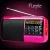 Import High quality small portable pocket wireless receiver rechargeable digital FM radio from China